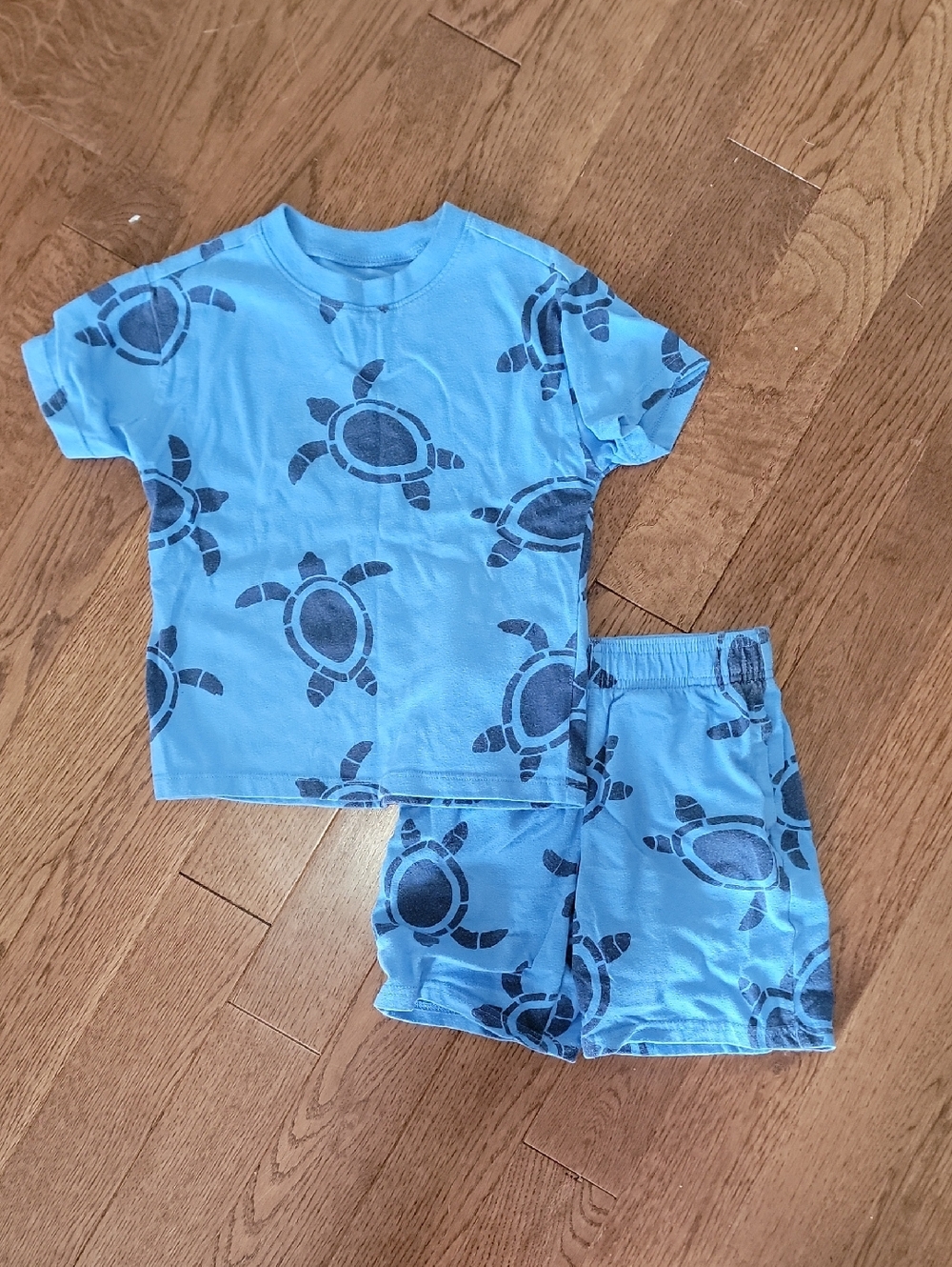 Garanimals Light Blue Turtle Print Pajama Set